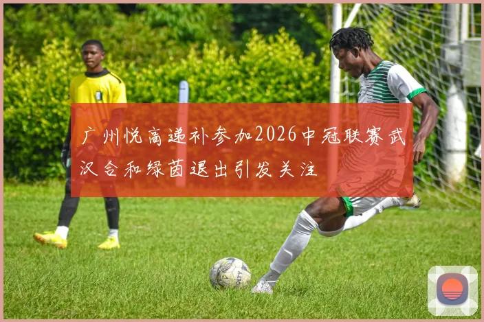 广州悦高递补参加2026中冠联赛武汉合和绿茵退出引发关注